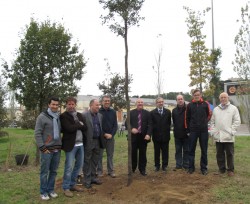 Plantada al Bosc de la Mitja