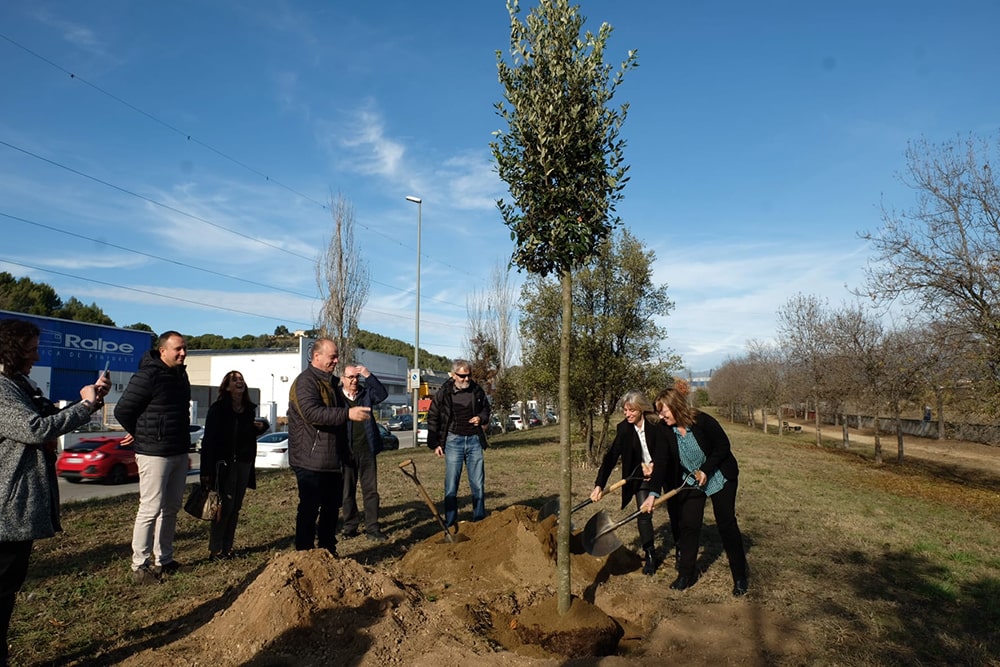 La imagen tiene un atributo ALT vacío; su nombre de archivo es bosc-de-la-mitja-2023-01-min.jpg