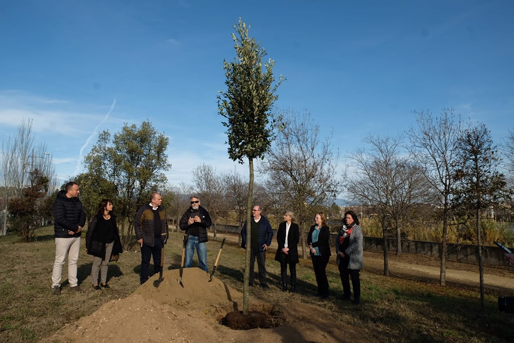 La imagen tiene un atributo ALT vacío; su nombre de archivo es bosc-de-la-mitja-2023-02-min.jpg